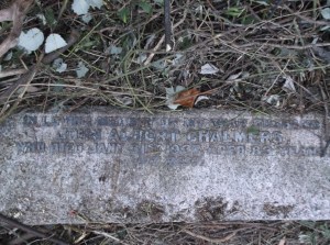 Stones from graves - John Albert Chalmers